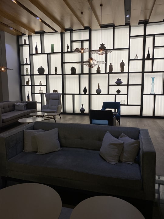 Lobby Acanthus Cennet Barut Collection