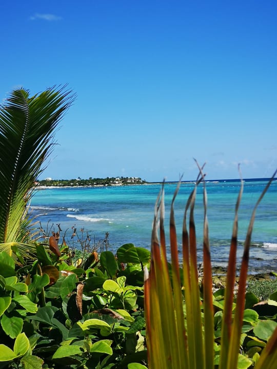 Strand Akumal Bay Beach & Wellness Resort