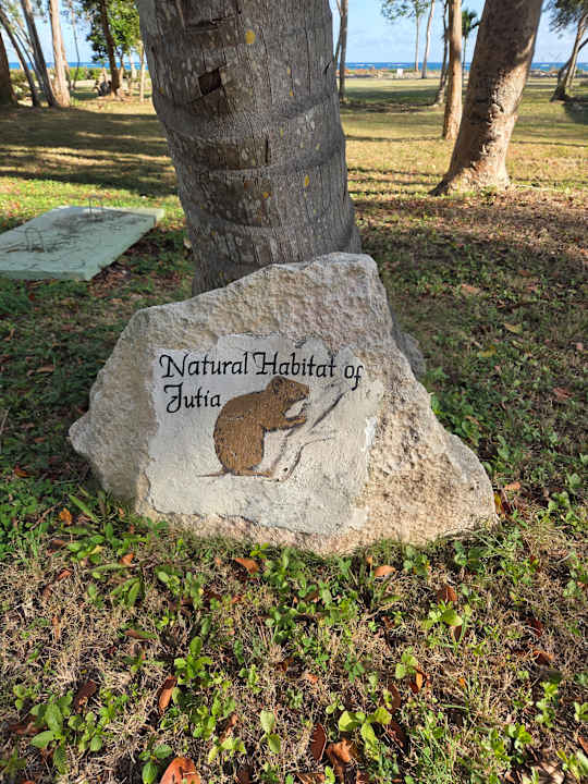 Außenansicht Paradisus Rio de Oro Resort & Spa - Adults only