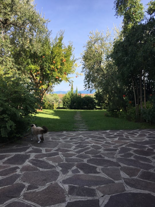 Gartenanlage Hotel Clodia