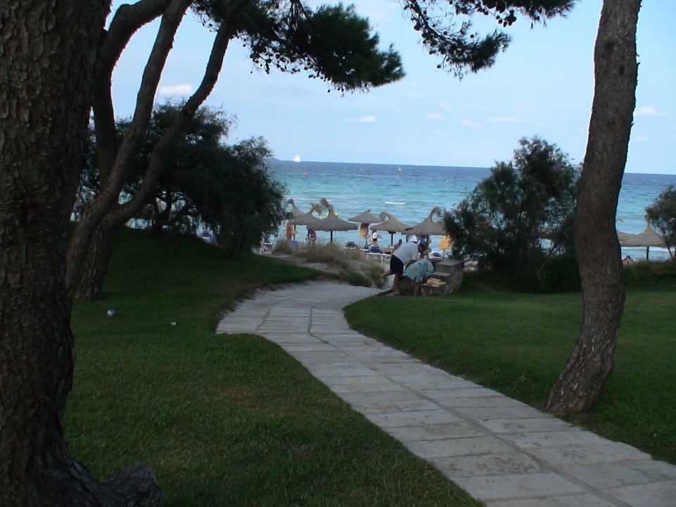Vom Pavillon zum Strand Iberostar Waves Playa de Muro