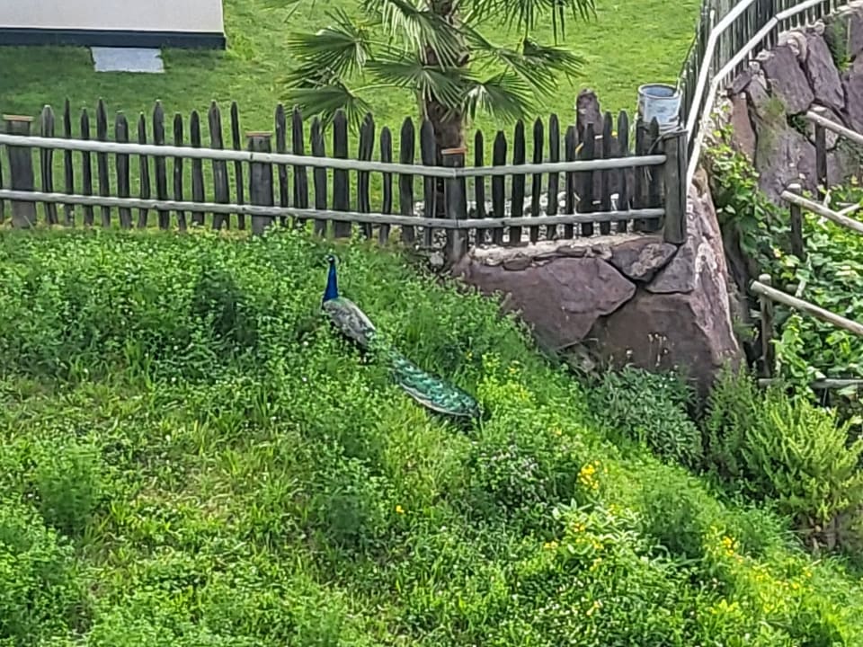 Gartenanlage Panoramapension Etschblick