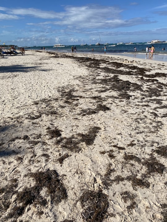 Strand Lopesan Costa Bávaro Resort, Spa & Casino