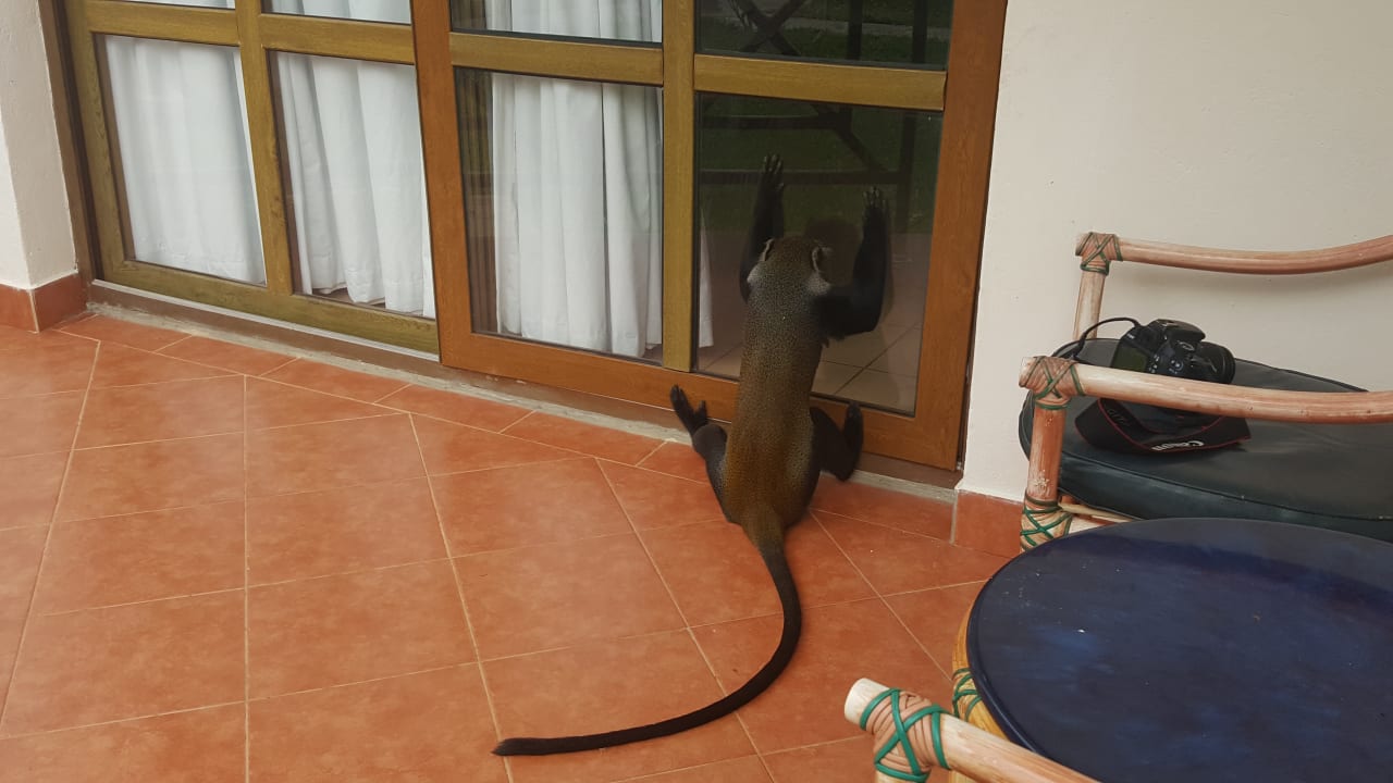 Zimmer Neptune Village Beach Resort & Spa