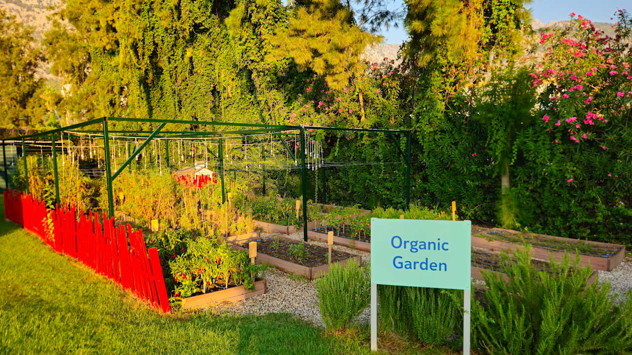 Gartenanlage TUI MAGIC LIFE Beldibi +16