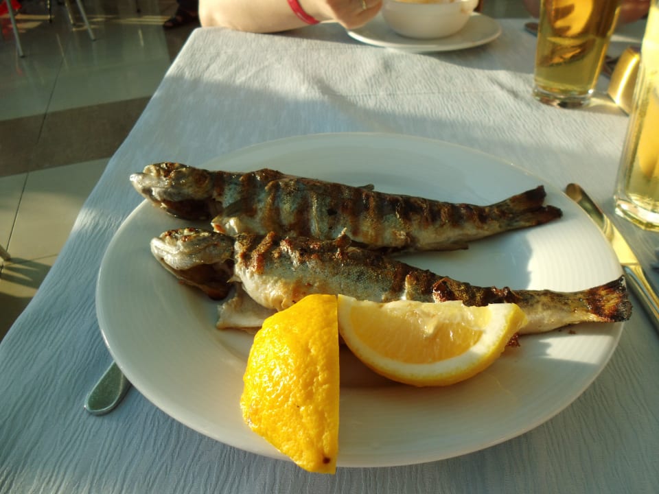 Forelle frisch vom Grill Alaiye Resort & Spa