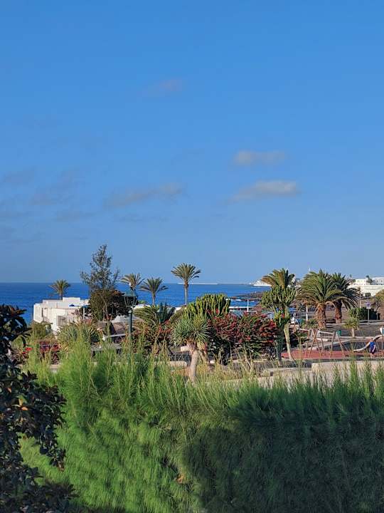 Ausblick allsun App.-Hotel Albatros