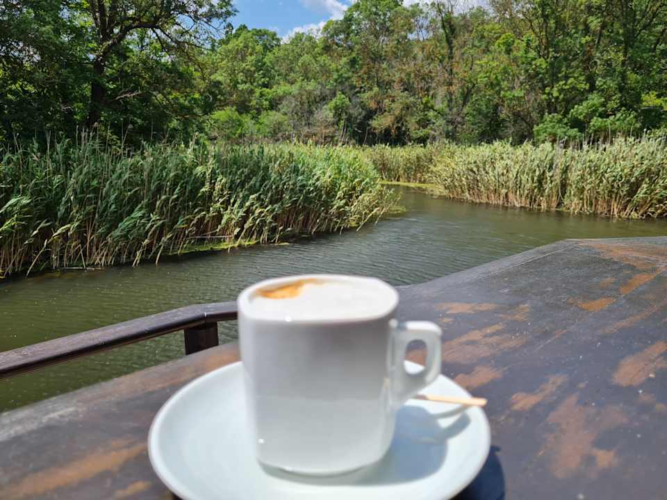 Ausblick Hotel Gergana
