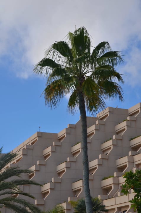 Palma Hotel Grand Teguise Playa
