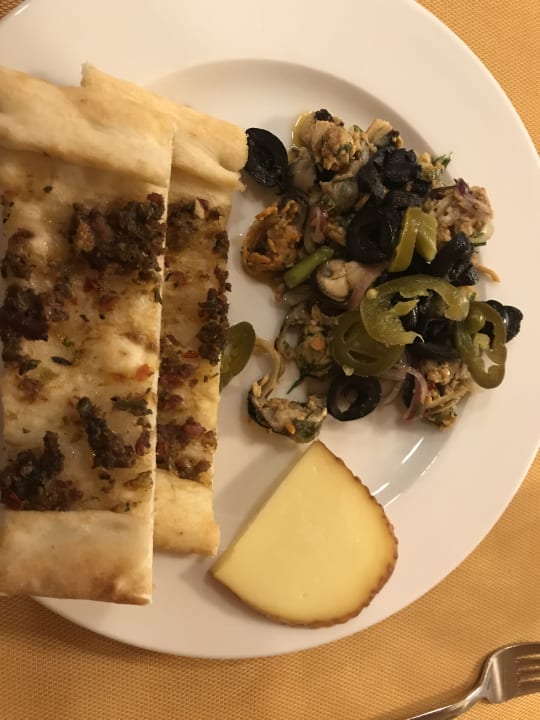 Gastro Seashell Vega