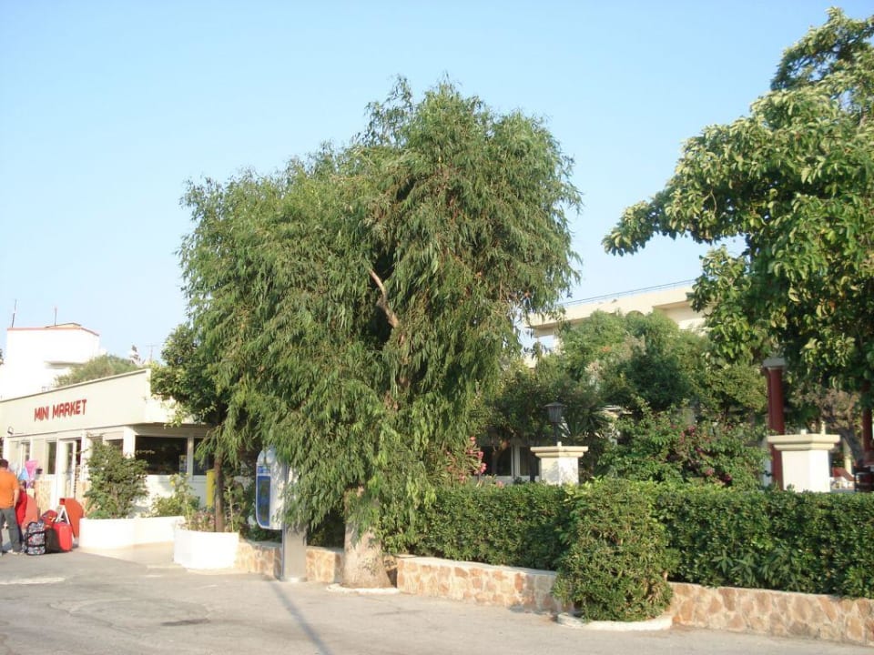 Widok z ulicy Hotel Filerimos Village