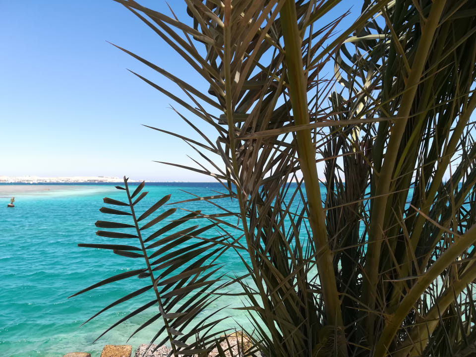 Strand Continental Hotel Hurghada