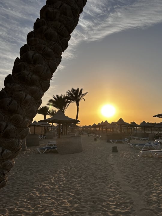 Strand Malikia Resort Abu Dabbab