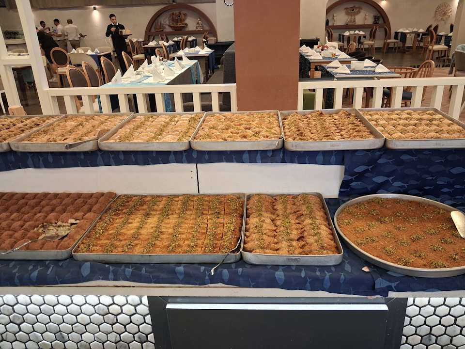 Gastro Dream Water World