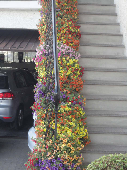 Blumenpracht am Stiegenaufgang Gästehaus Christine
