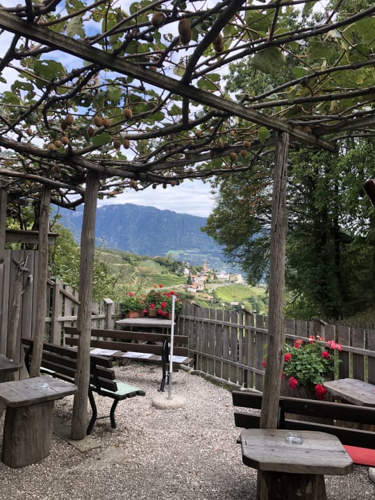 Ausblick Hotel Golserhof