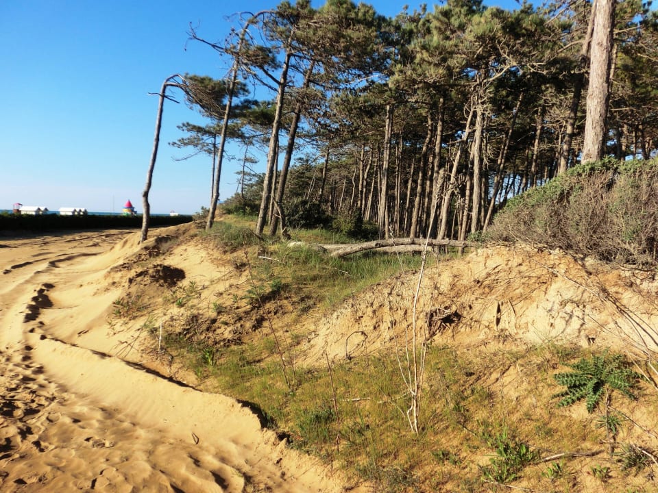 Am Ende des Pinienwäldchens Hotel Meridianus