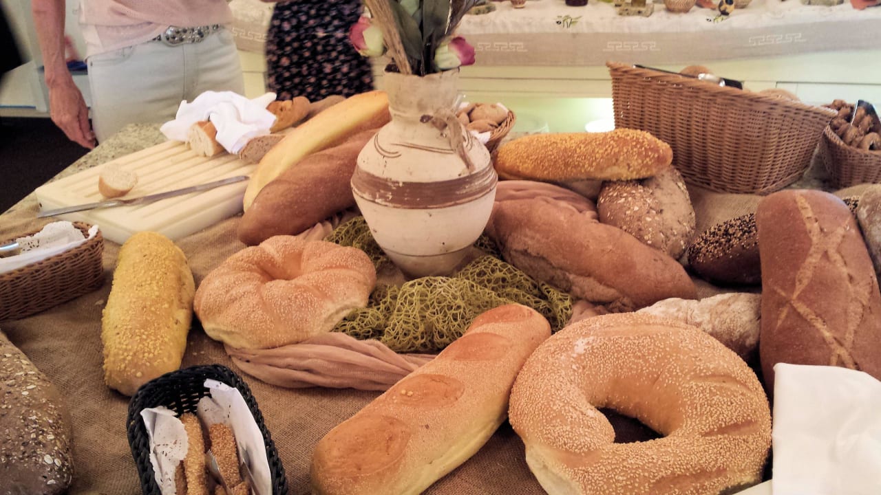 Griechischer Abend Cactus Royal