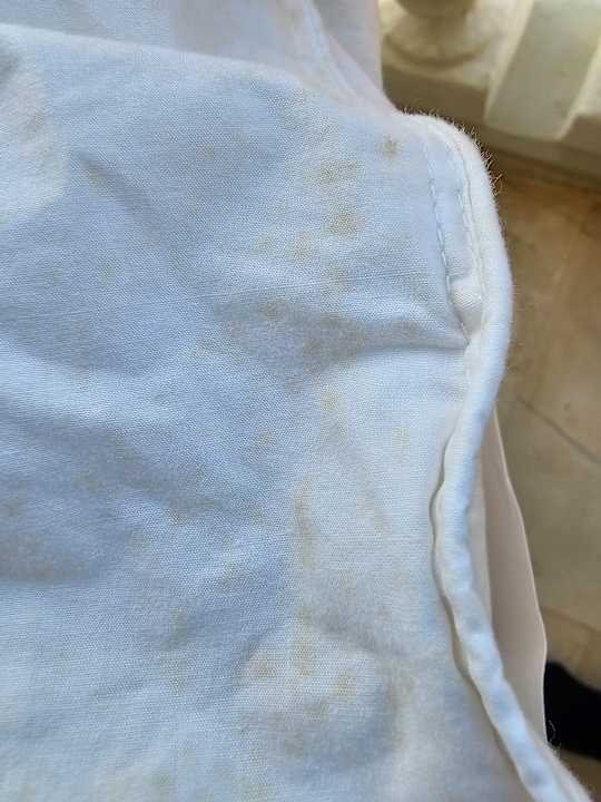 Zimmer Mon Repos Palace - Adults only