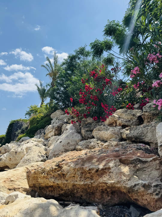 Strand Crystal Springs Beach Hotel