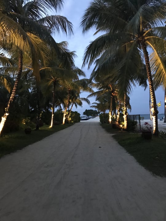 Gartenanlage Kuredu Island Resort & Spa