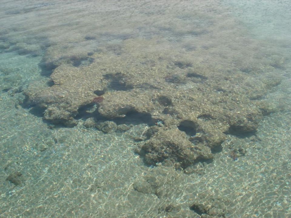 Hausriff Pickalbatros Aqua Park Resort - Hurghada