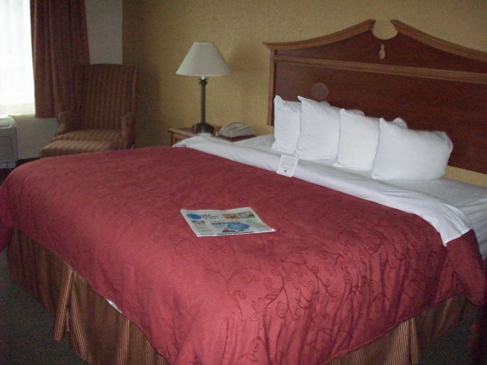 Sehr bequemes KingSize-Bett SureStay Plus Hotel by Best Western Vero Beach