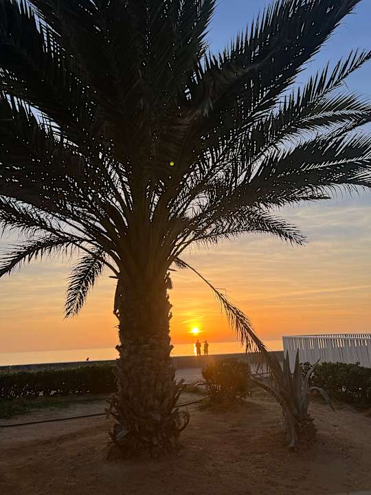 Strand Hotel Riu Festival