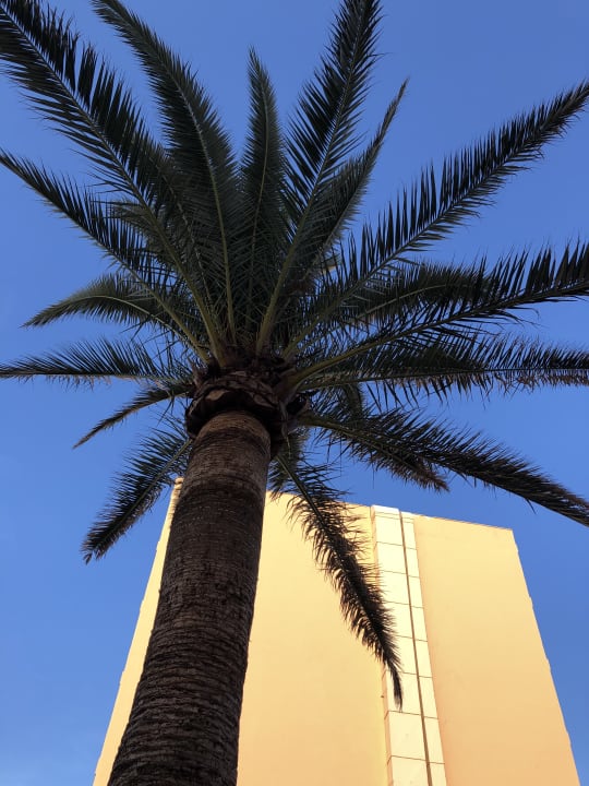 Sonstiges Universal Hotel Cabo Blanco - Adults Only