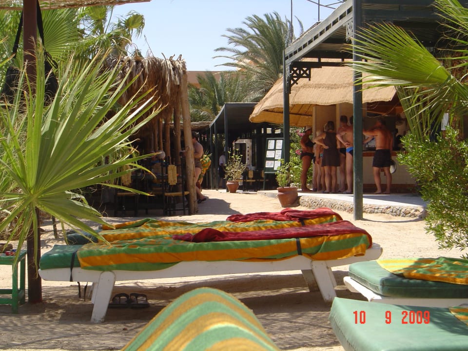 Strandliegen Giftun Azur Resort