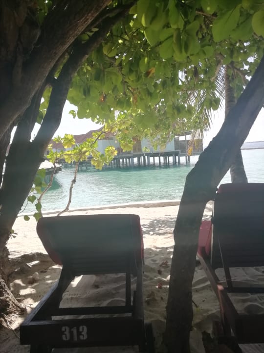 Ausblick Ellaidhoo Maldives by Cinnamon