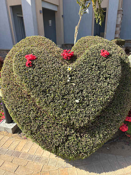 Gartenanlage Lazuli Hotel Marsa Alam