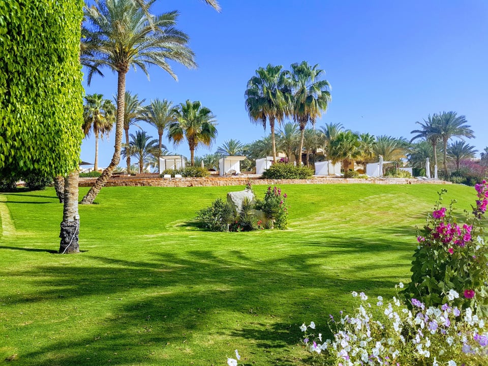 Gartenanlage Steigenberger Coraya Beach - Adults only