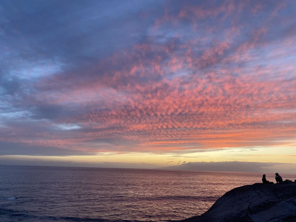 Ausblick Hotel Riu Palace Tenerife