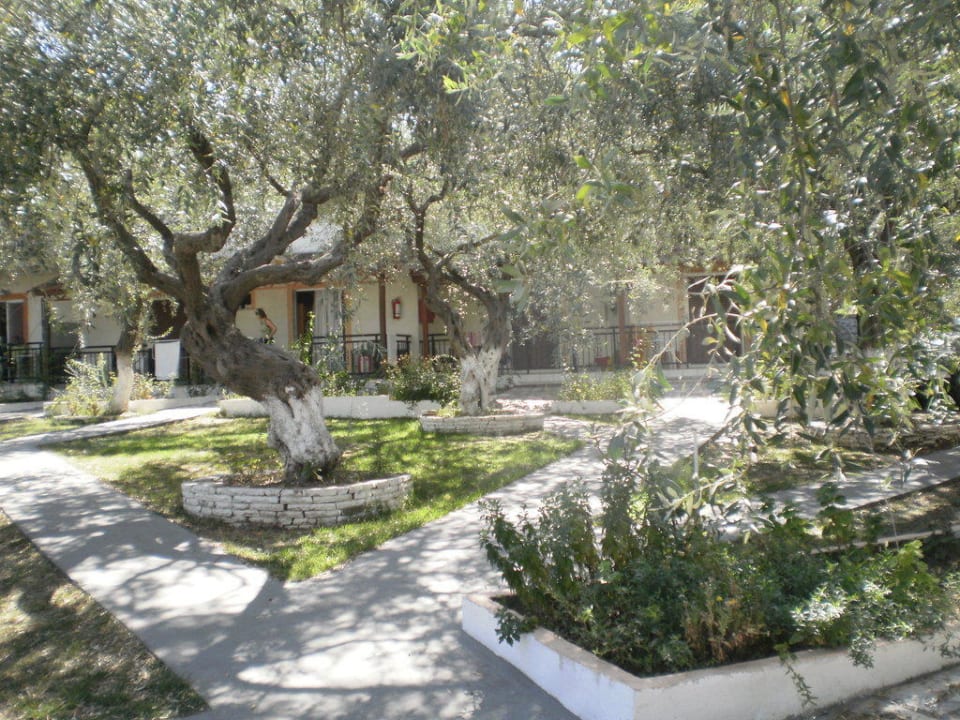 Hotel Hotel Pachis Beach