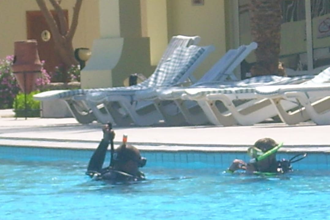 Kostenloses Schnuppertauchen im Pool Palm Beach Resort