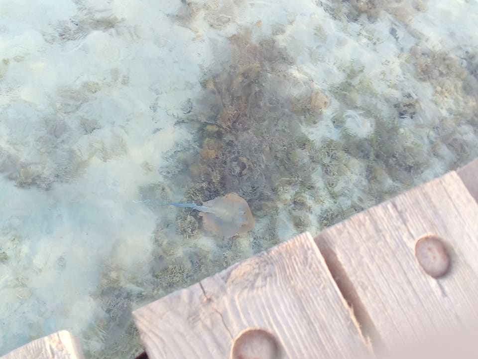 Strand Casa Mare Resort