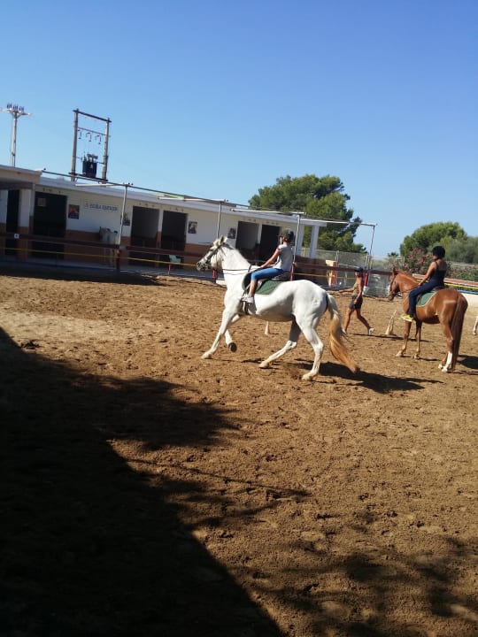 Sport & Freizeit Sun Club Eldorado