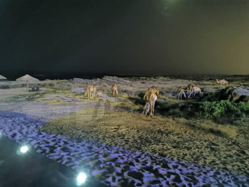 Ausblick Wyndham Garden Salalah Mirbat