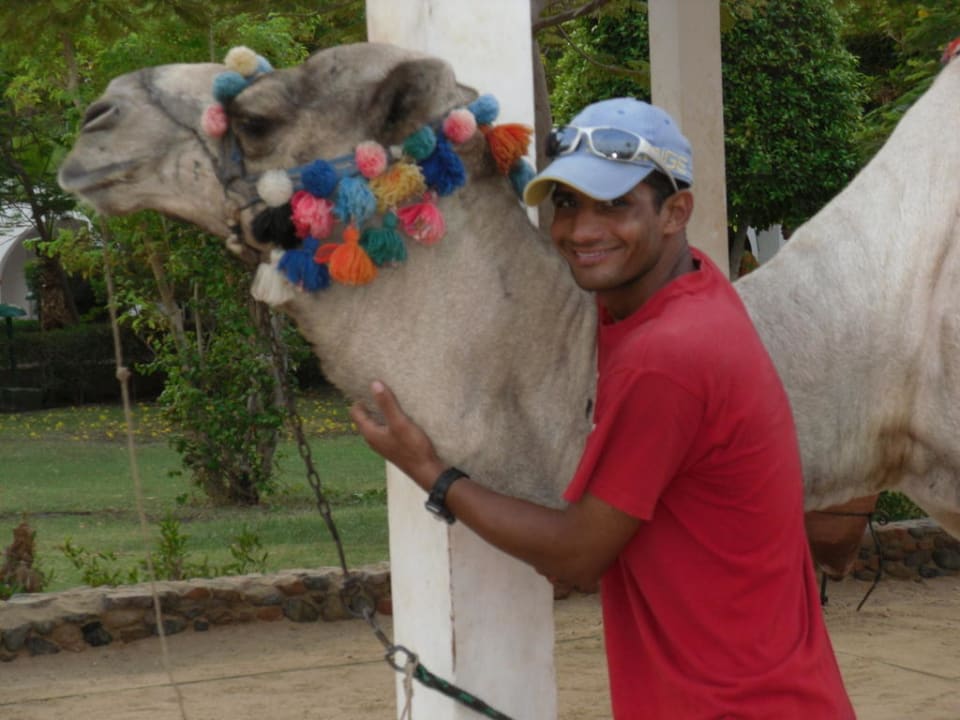 Willi und sein Boss! Arabia Azur Resort