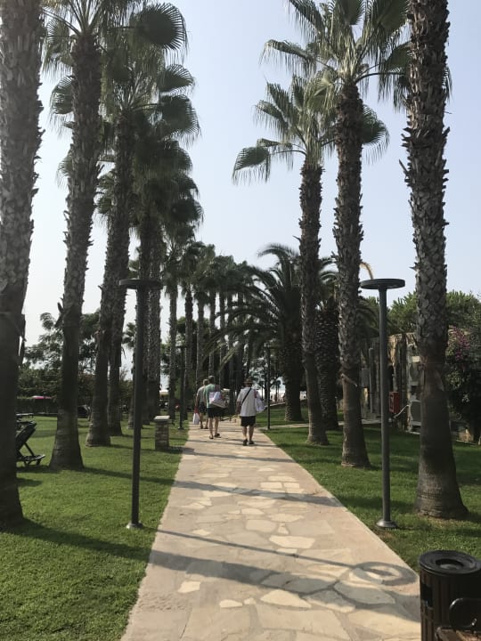 Gartenanlage Arum Barut Collection