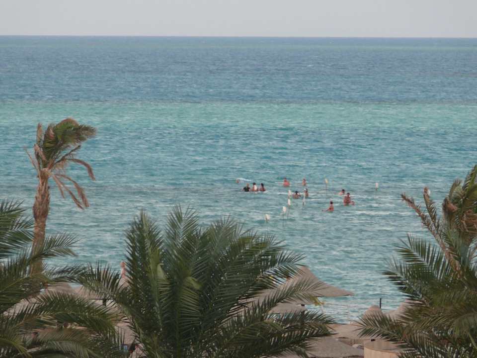 Widok z pokoju Riviera Aqua Park Resort