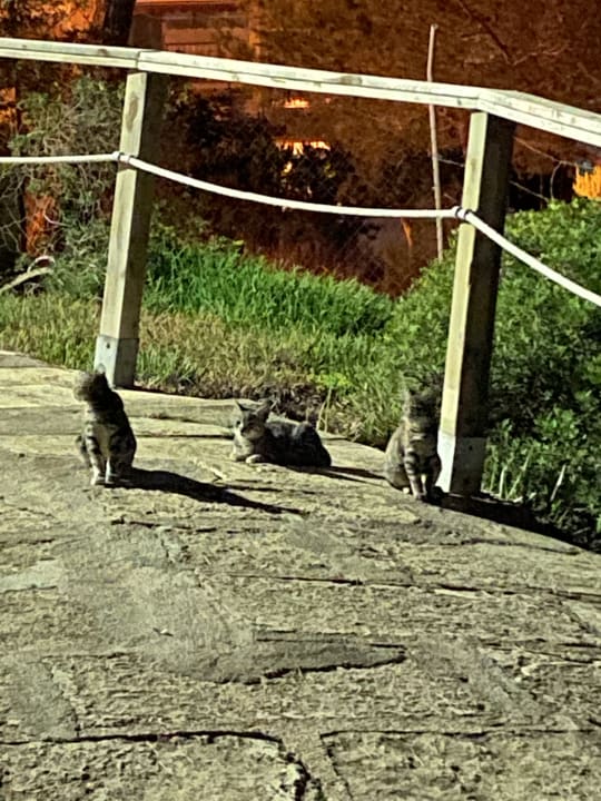 Gartenanlage Hotel Exagon Park