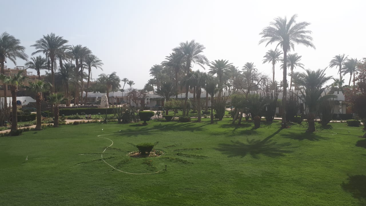 Gartenanlage Shams Safaga Resort
