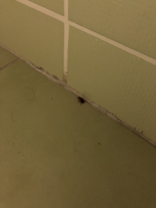 Zimmer Hotel Orfeus Park