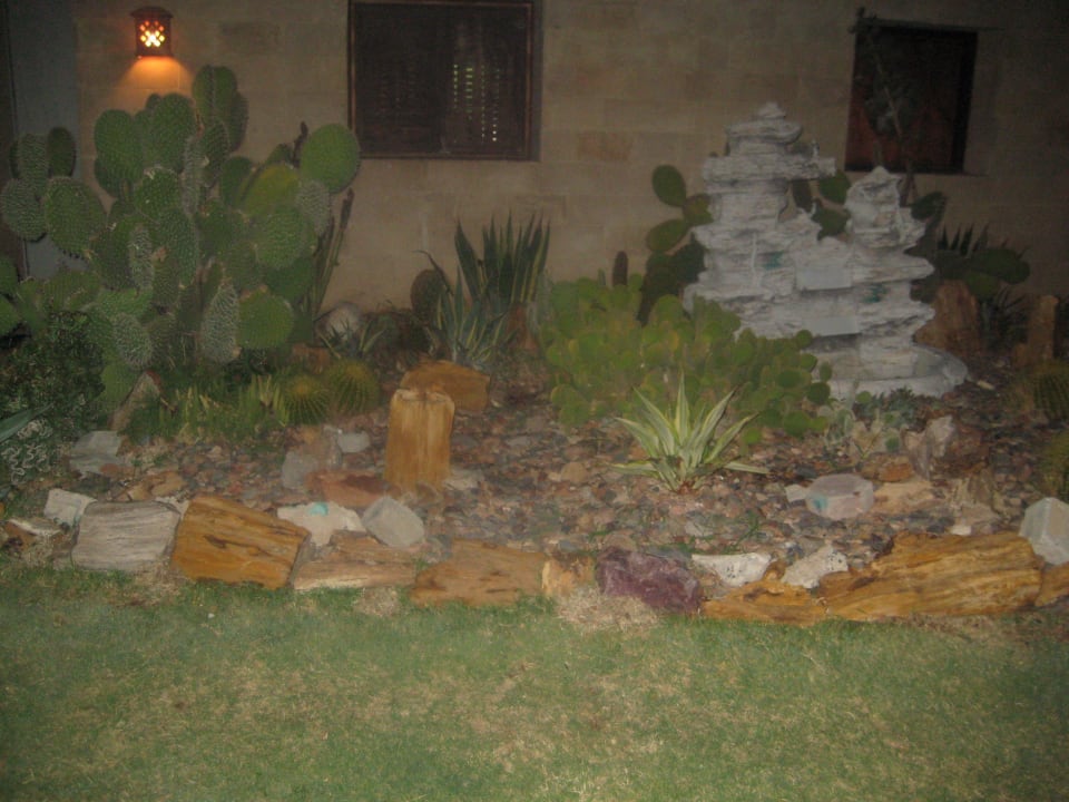 Кактусы Sentido Caribbean World Soma Bay