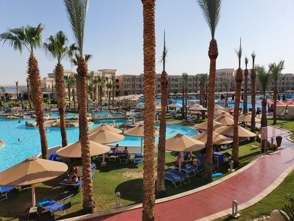 Pool Pickalbatros Palace Resort