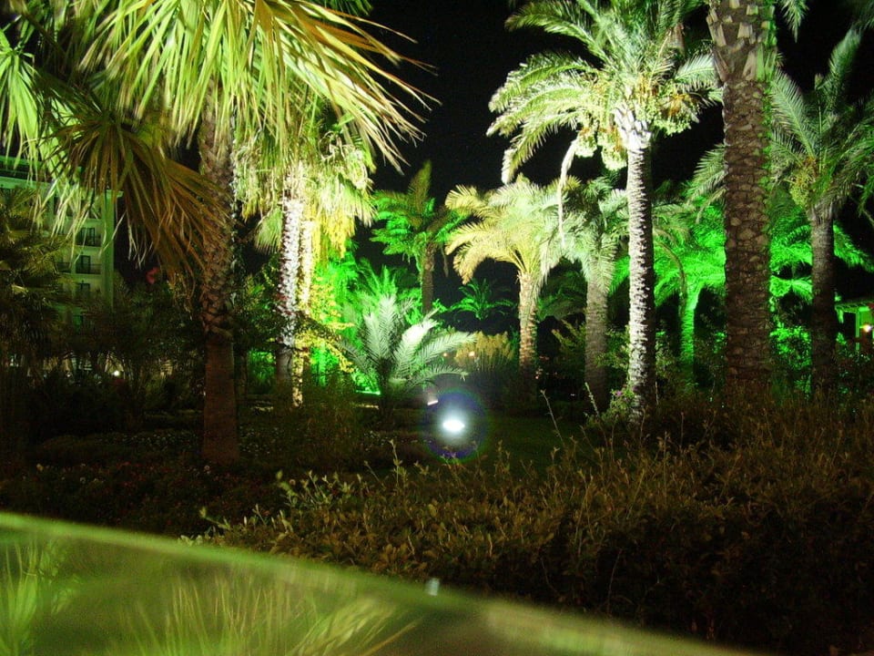 Gartenanlage bei Nacht Selectum Family Comfort Side