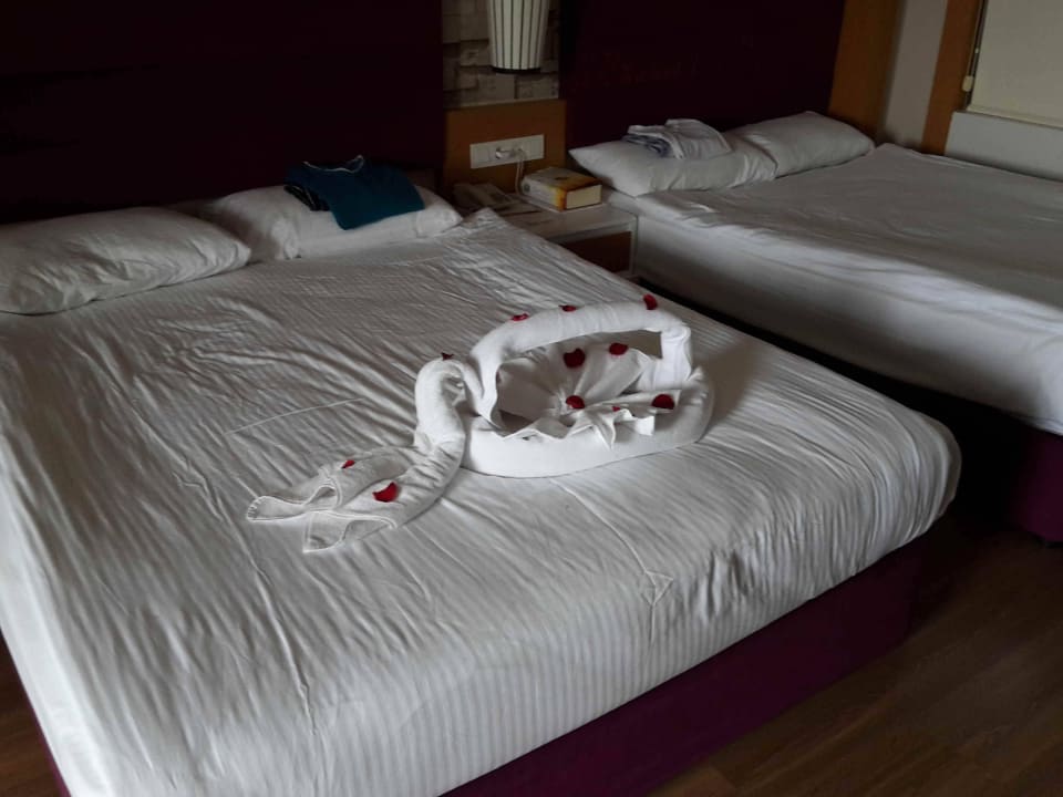 Zimmer TUI MAGIC LIFE Jacaranda