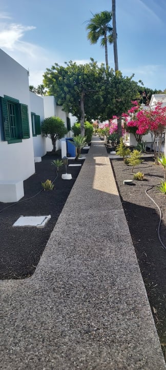 Gartenanlage Hotel Hyde Park Lane